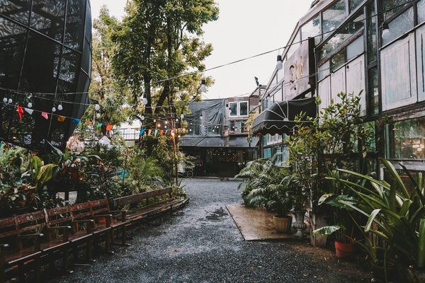 Secrets of a successful urban garden